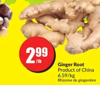 FreshCo Ginger root product of china 6.59/kg offer