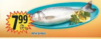 Marché Adonis Fresh sea bass offer