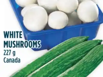 Marché Adonis White mushrooms offer