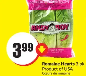 FreshCo Romaine hearts 3 pk product of usa offer