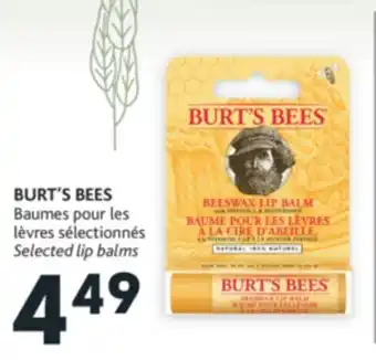 Brunet Burt's bees baumes pour les lèvres sélectionnés offer