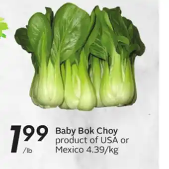 Sobeys Baby bok choy offer