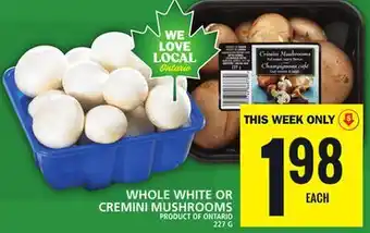 Food Basics Whole white or cremini mushrooms offer