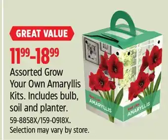 Canadian Tire Assorted grow your own amaryllis kits offer