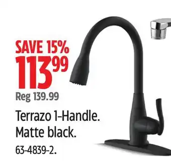 Canadian Tire Danze terrazo 1-handle kitchen faucet offer