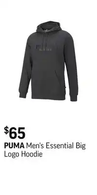 Sport Chek Men's essential big logo hoodie offer