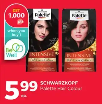 Rexall Schwarzkopf palette hair colour offer