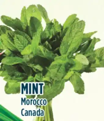 Marché Adonis Mint offer