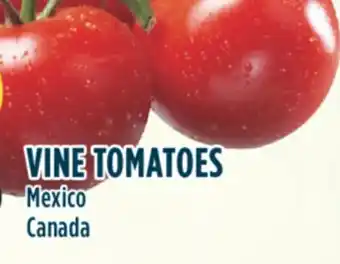Marché Adonis Vine tomatoes offer