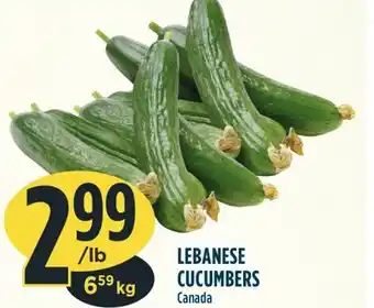 Marché Adonis Lebanese cucumbers offer