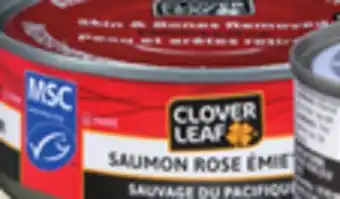 IGA Clover leaf pink salmon offer