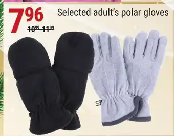 Rossy Selected adult's polar gloves offer