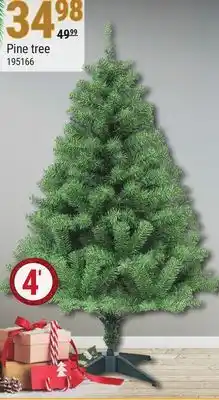 Rossy Pine tree 4 offer