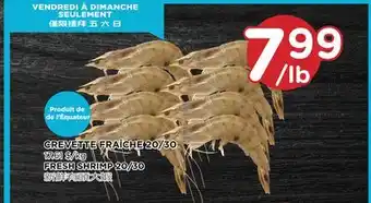 Kim Phat Fresh shrimp 20/30 offer