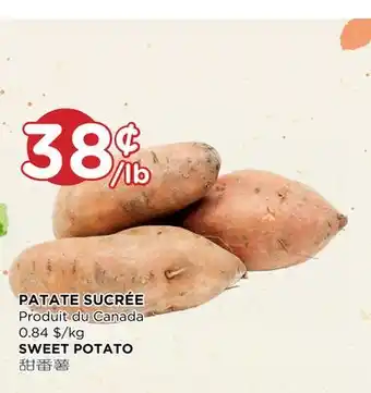 Kim Phat Sweet potato offer