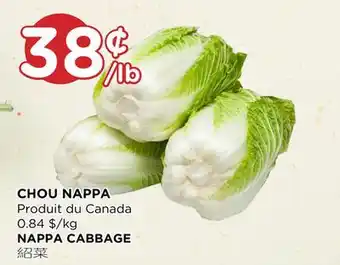 Kim Phat Nappa cabbage offer