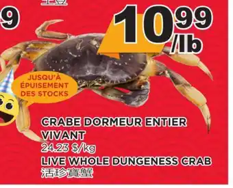 Kim Phat Live whole dungeness crab offer
