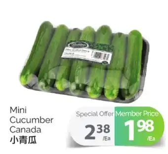 T&T Supermarket Mini cucumber offer