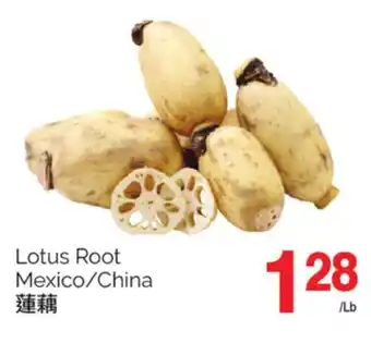 T&T Supermarket Lotus root offer