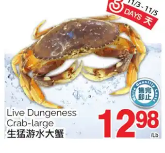 T&T Supermarket Live dungeness crab-large offer