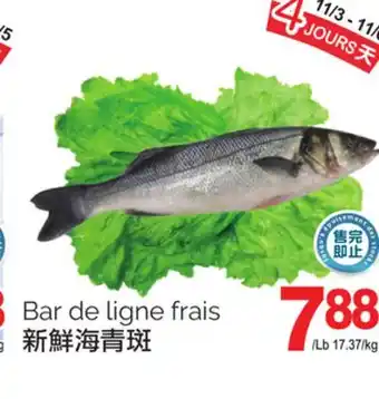 T&T Supermarket Bar de ligne frais offer