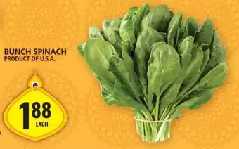 Food Basics BUNCH SPINACH offer