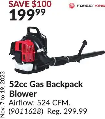 Princess auto leaf blower hotsell