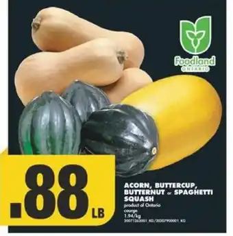 No Frills ACORN, BUTTERCUP, BUTTERNUT or SPAGHETTI SQUASH offer
