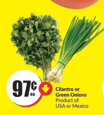 FreshCo Cilantro or Green Onions offer