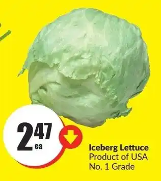 FreshCo Iceberg Lettuce offer