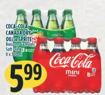 Marché Adonis Coca-cola, canada dry or sprite soft drinks offer