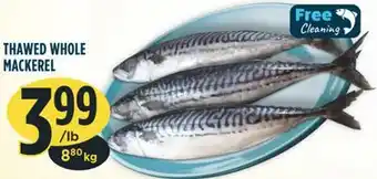 Marché Adonis Thawed whole mackerel offer