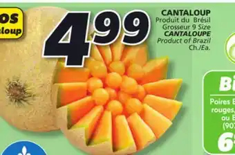 IGA Cantaloupe offer
