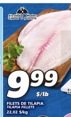 IGA Tilapia fillets offer