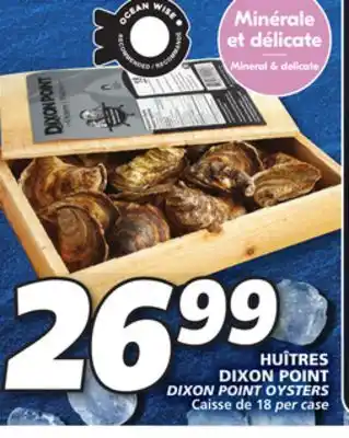 IGA Dixon point oysters offer