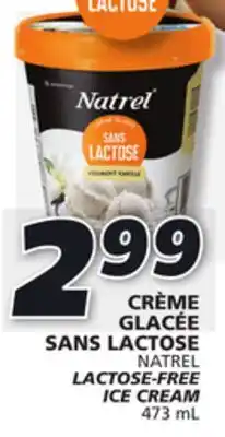 IGA Natrel lactose-free ice cream offer
