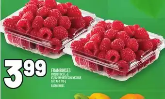 Metro Framboises | raspberries offer