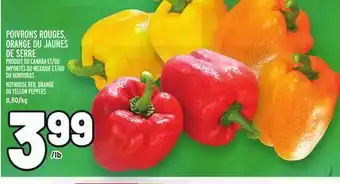 Metro Poivrons rouges, orange ou jaunes de serre | hothouse red, orange or yellow peppers offer