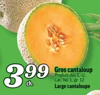 Marché Richelieu Gros cantaloup | large cantaloupe offer