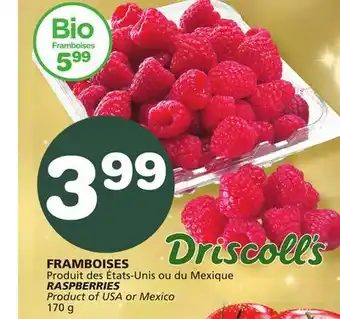 Marches Tradition Raspberries offer