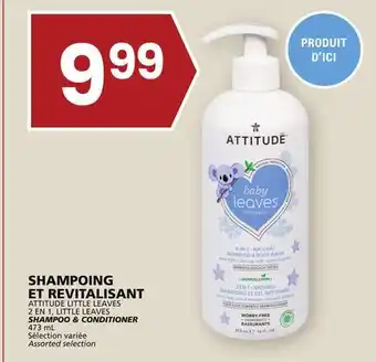 Rachelle-Bery Grocery Attitude little leaves shampoo & conditioner offer
