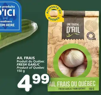 Marches Tradition Fresh garlic offer