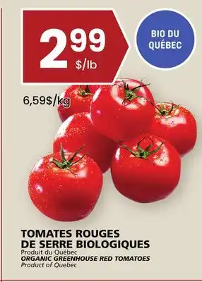 Rachelle-Bery Grocery Organic greenhouse red tomatoes offer