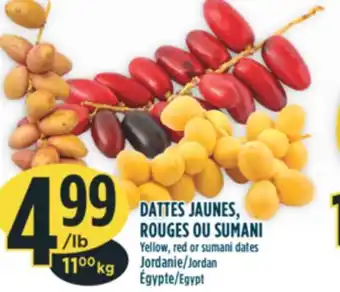 Marché Adonis Dattes jaunes, rouges ou sumani offer