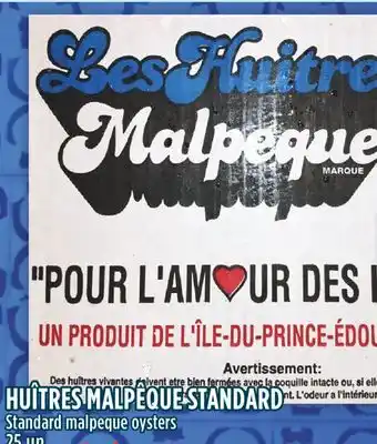 Marché Adonis Huîtres malpêque standard offer
