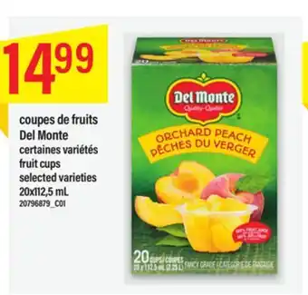 Maxi Coupes de fruits del monte 20x112,5 ml offer