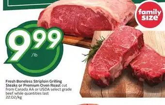 Sobeys Fresh boneless striploin grilling steaks or premium oven roast offer