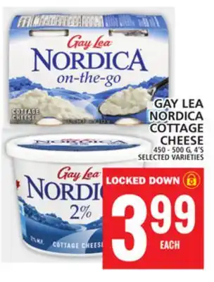 Food Basics Gay lea nordica cottage cheese offer