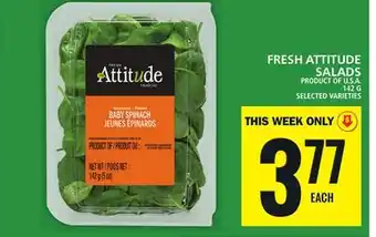 Food Basics Fresh attitude salads offer