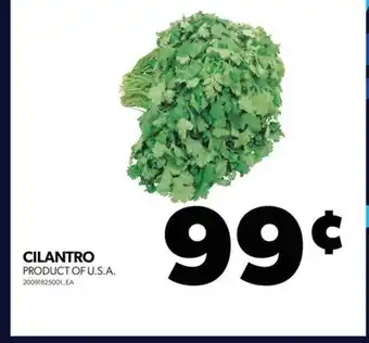 Real Canadian Superstore Cilantro offer